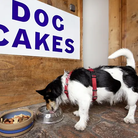 Appart hôtel Appartement-hotel Seespitz