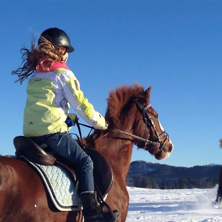 Appartement-hotel Seespitz Appart hôtel Füssen
